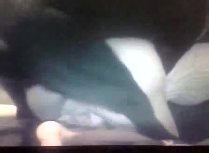 Video :Animal porno of dog hard fucking a kinky whore